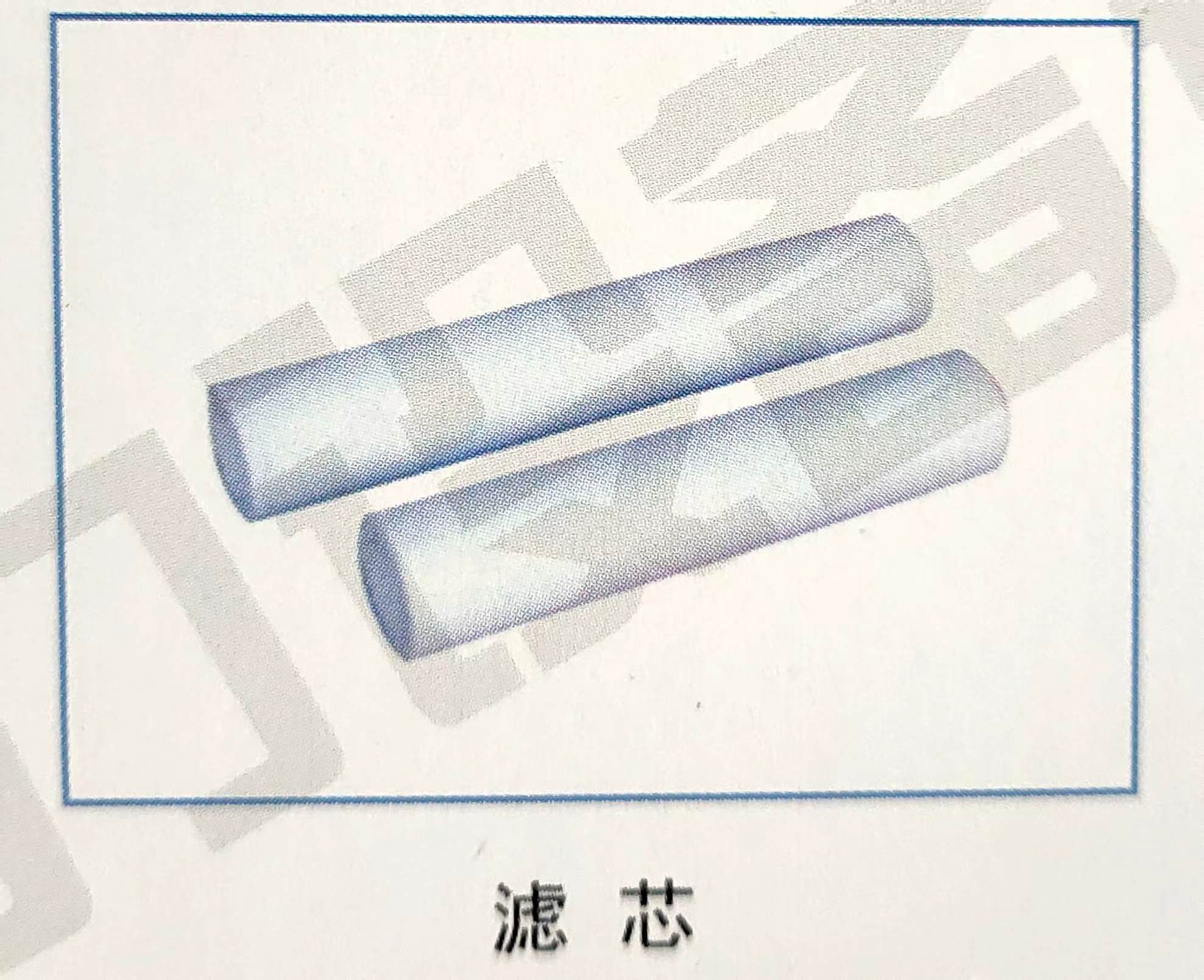 滤芯