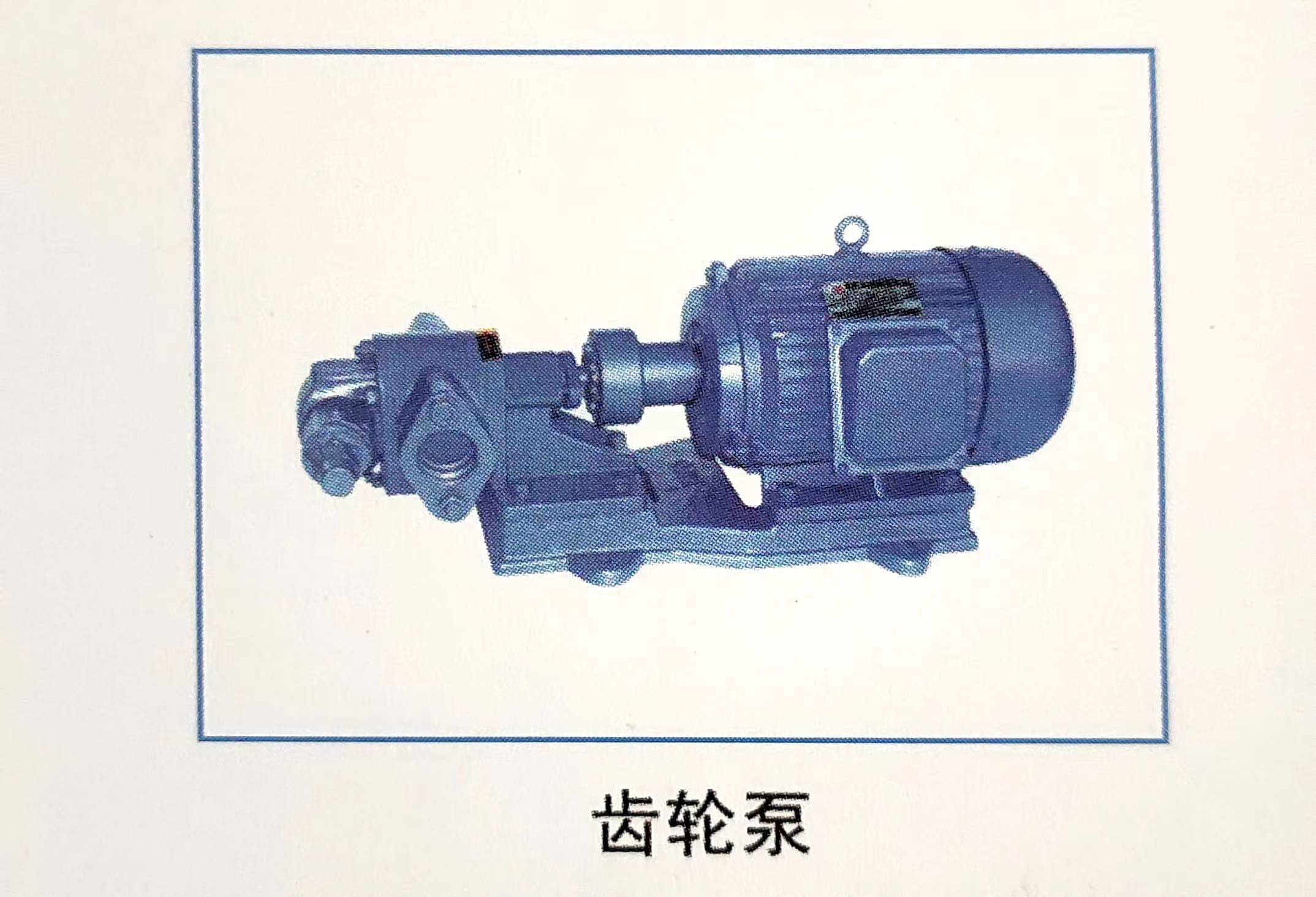 齿轮泵
