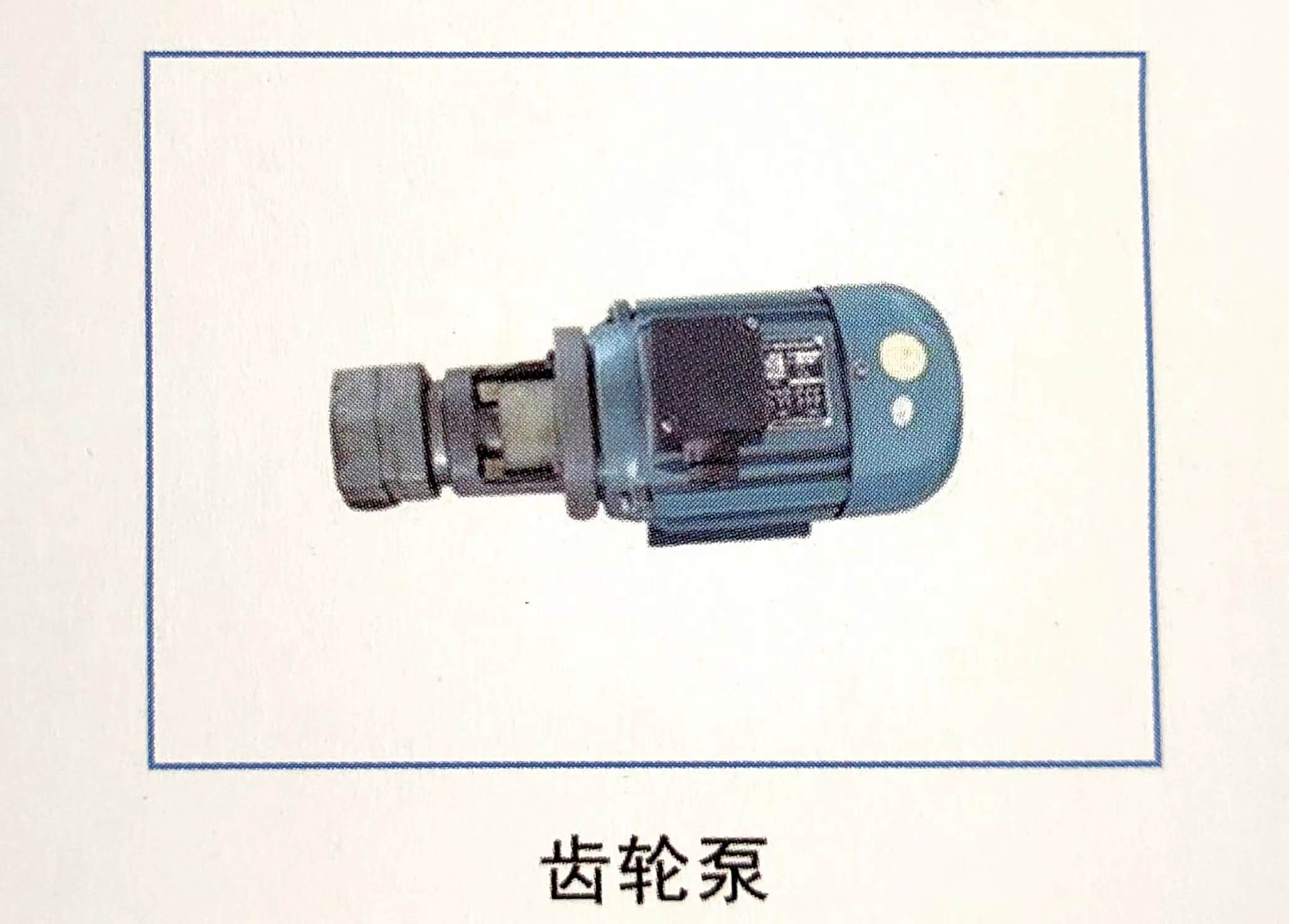 齿轮泵